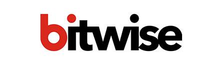Bitwise system implementors of enterprise data management
