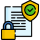 Data Privacy Icon