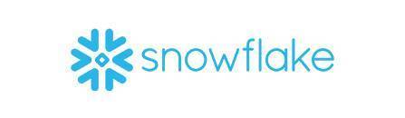 Snowflake meta data management technology partner